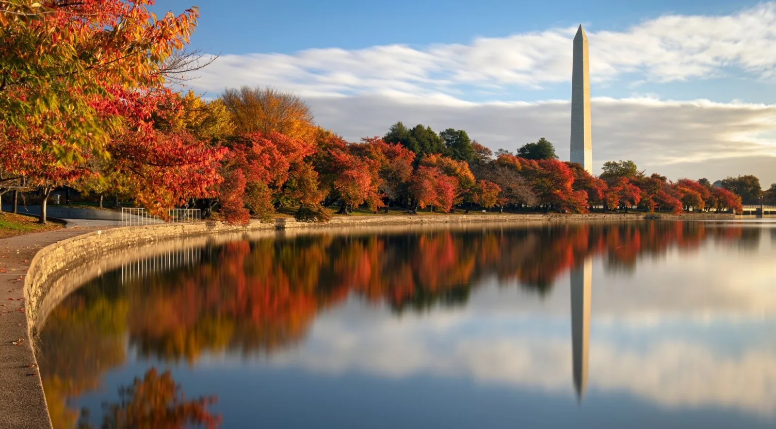 Autumn colour around the Tidal Basin reflecting the Washington Monument