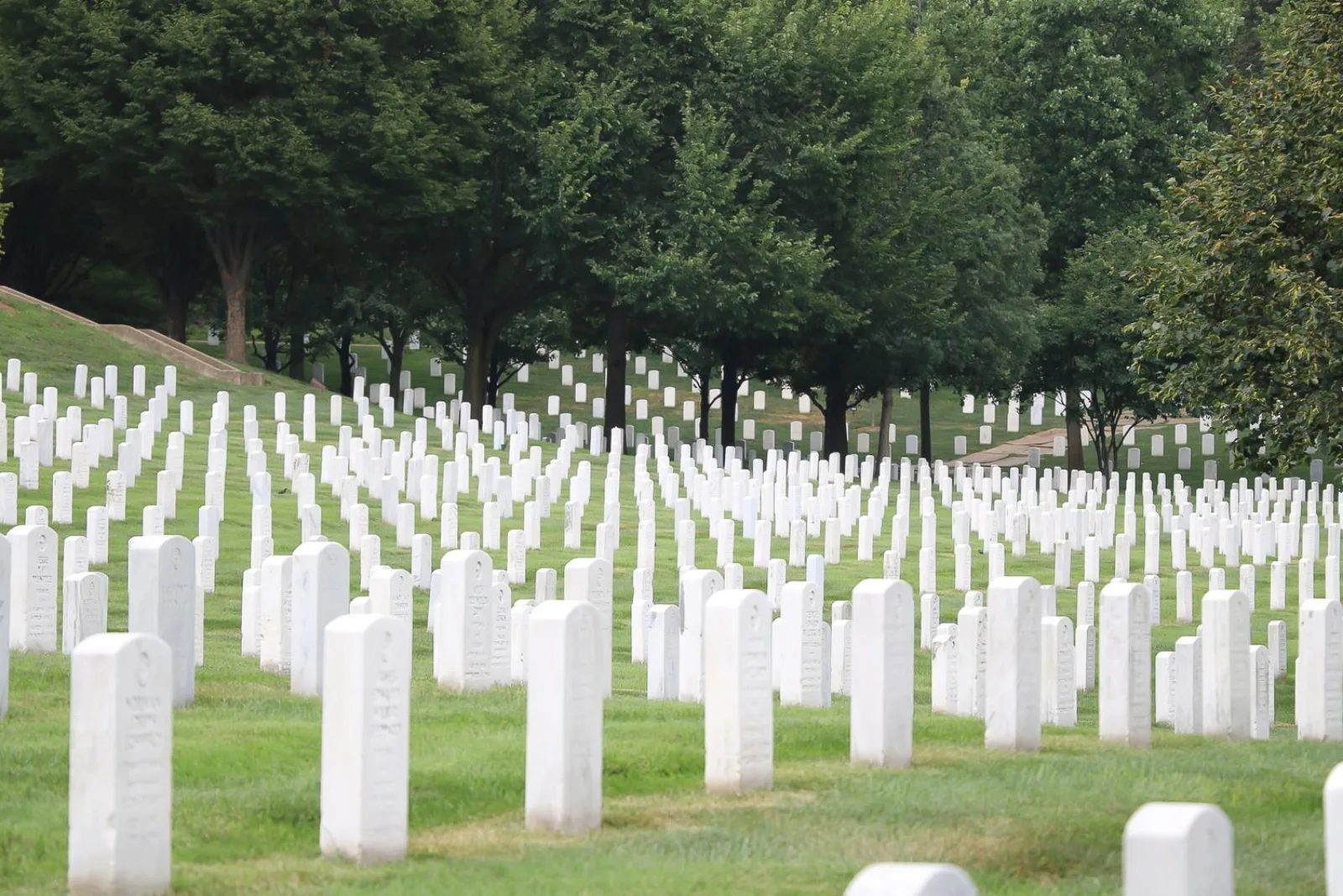 Rows of white headstones at Arlington National Cemetery