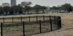 Guest photo from review